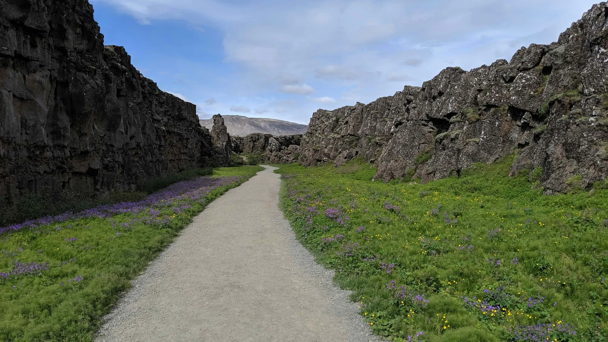 Walking path in Þingvellir National Park