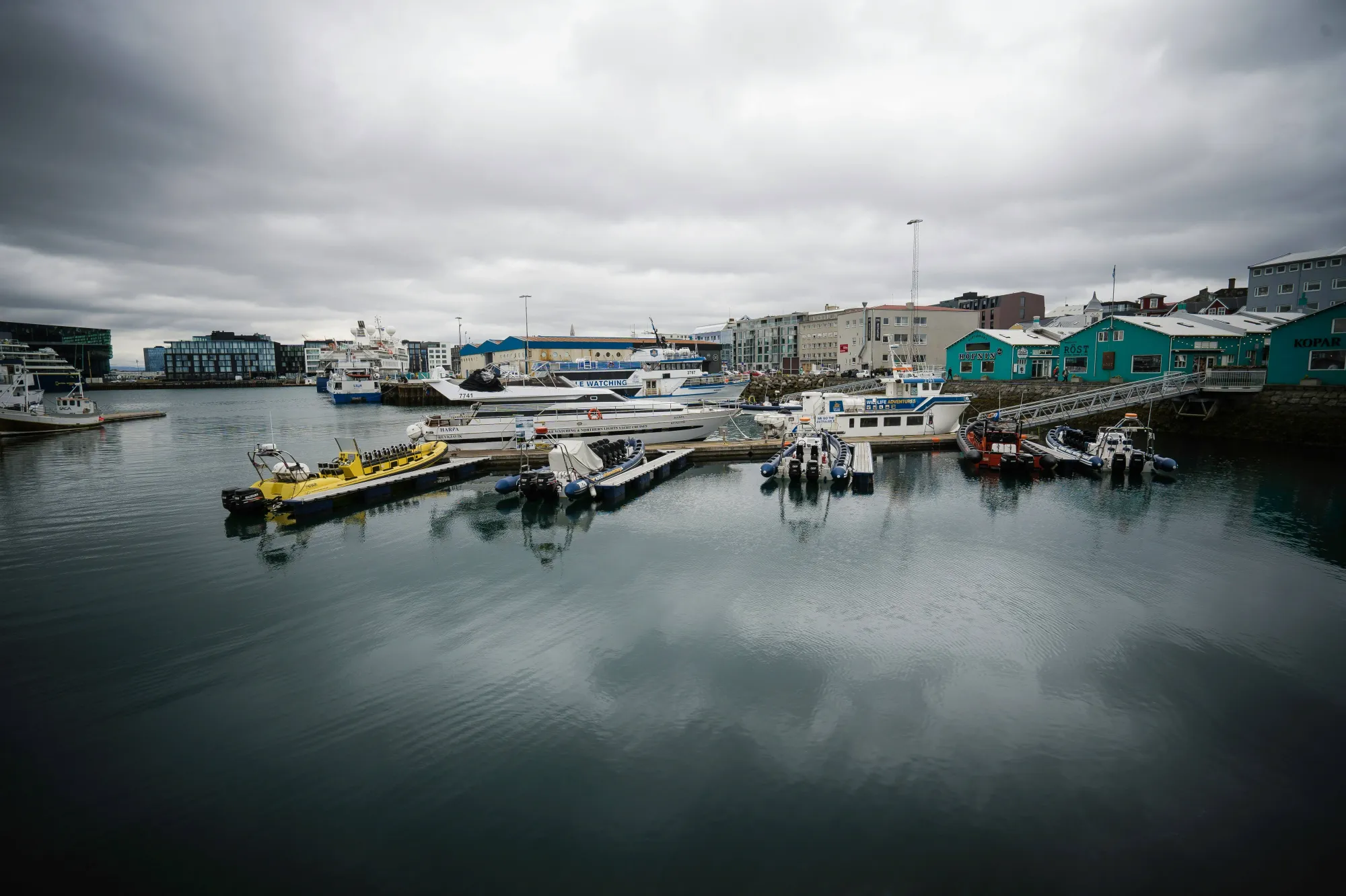 Unique Experiences in Reykjavík for Couples