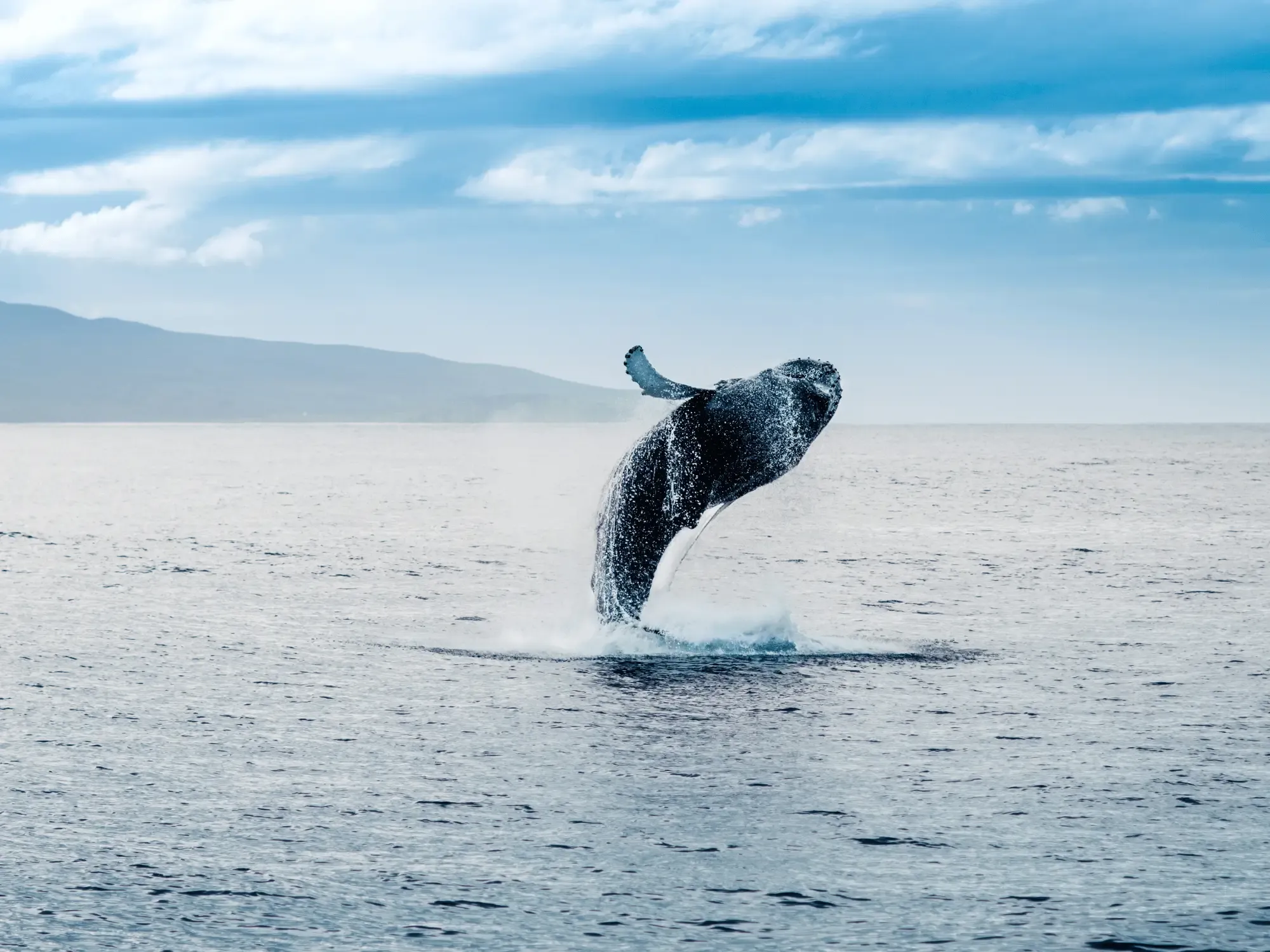 Traveling with Children in Iceland: Top Activities and Tips (2026 update)